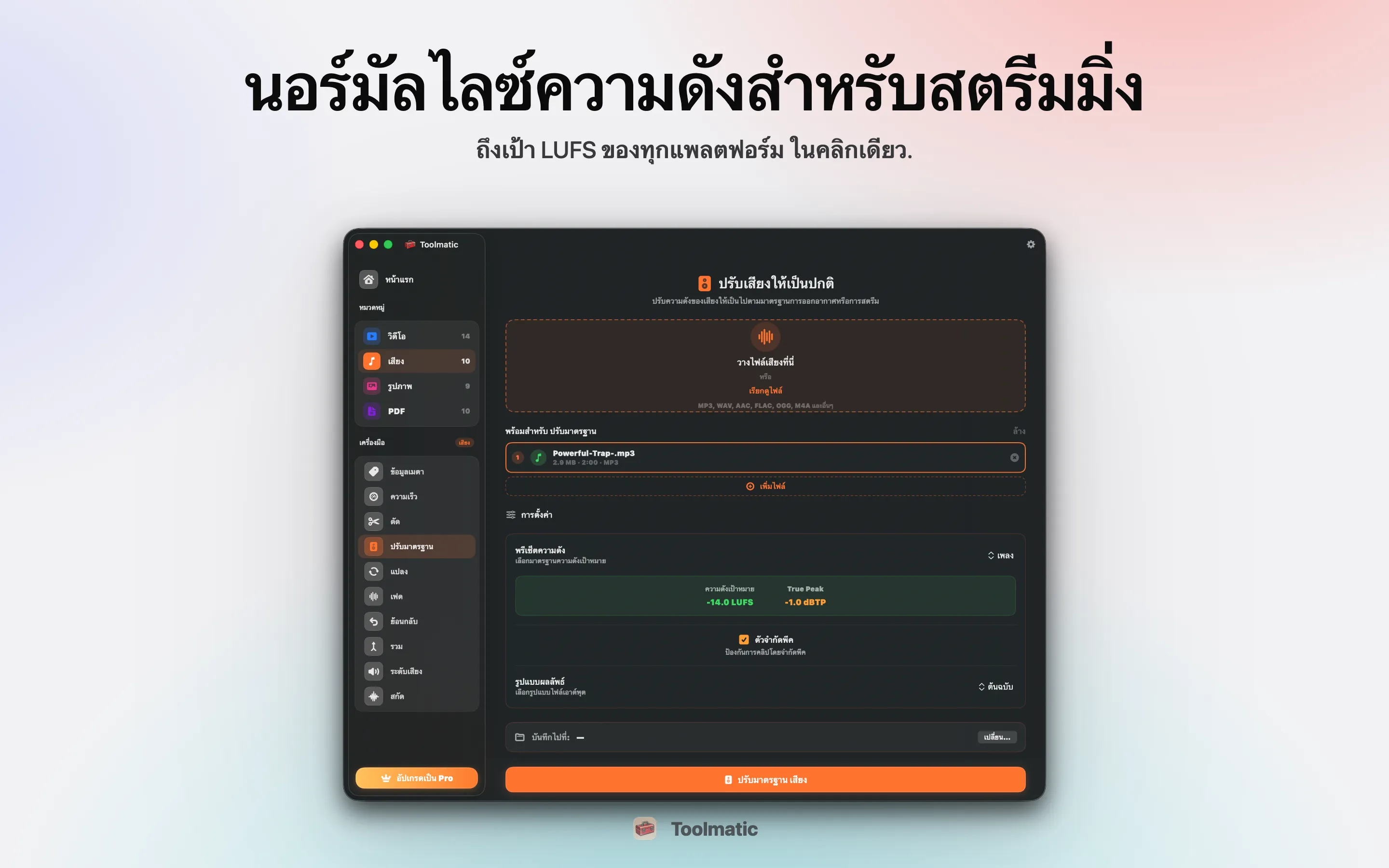 ปรับระดับเสียง