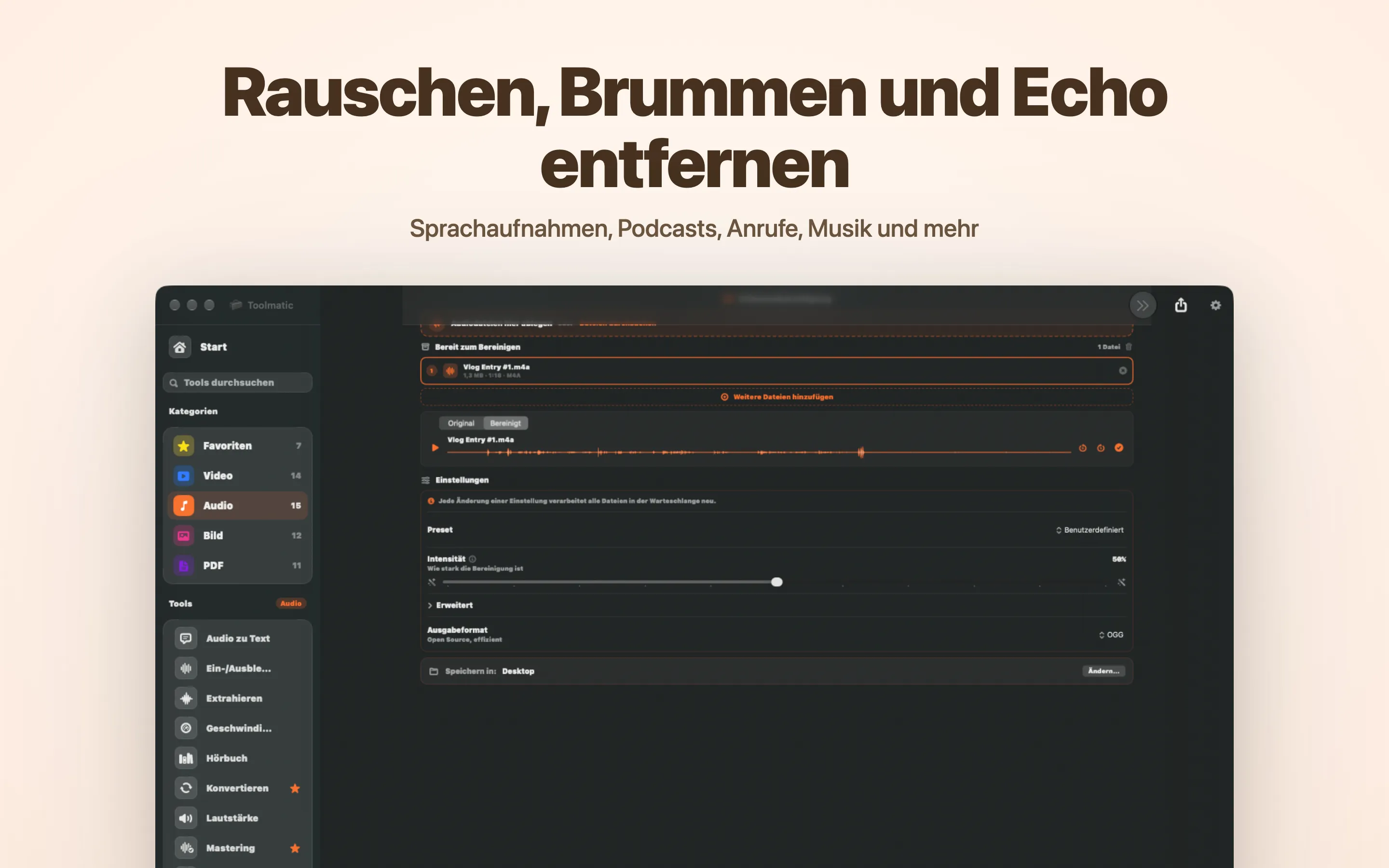 Voice Cleanup, Rauschen, Brummen, Echo und Klicks weg