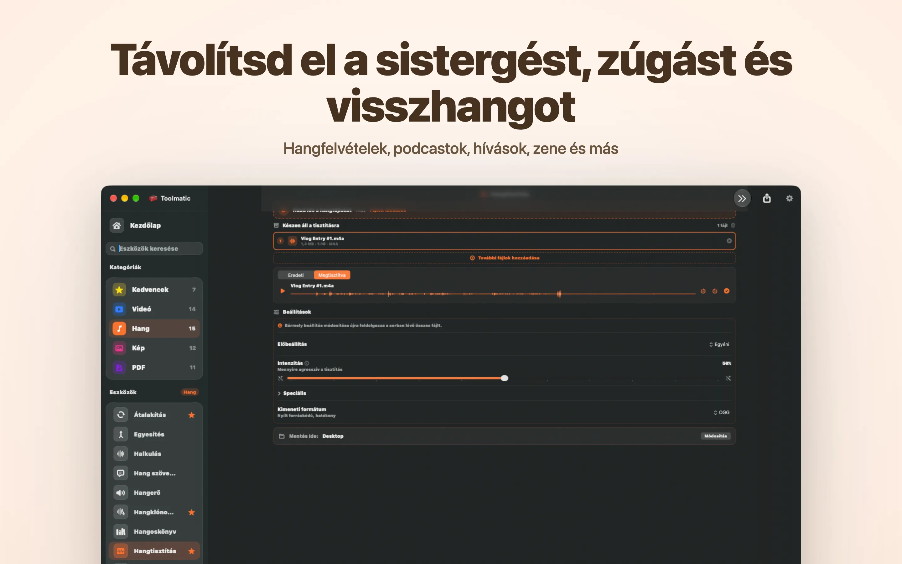 Voice Cleanup, a sistergés, zümmögés, visszhang és kattanások eltűntek