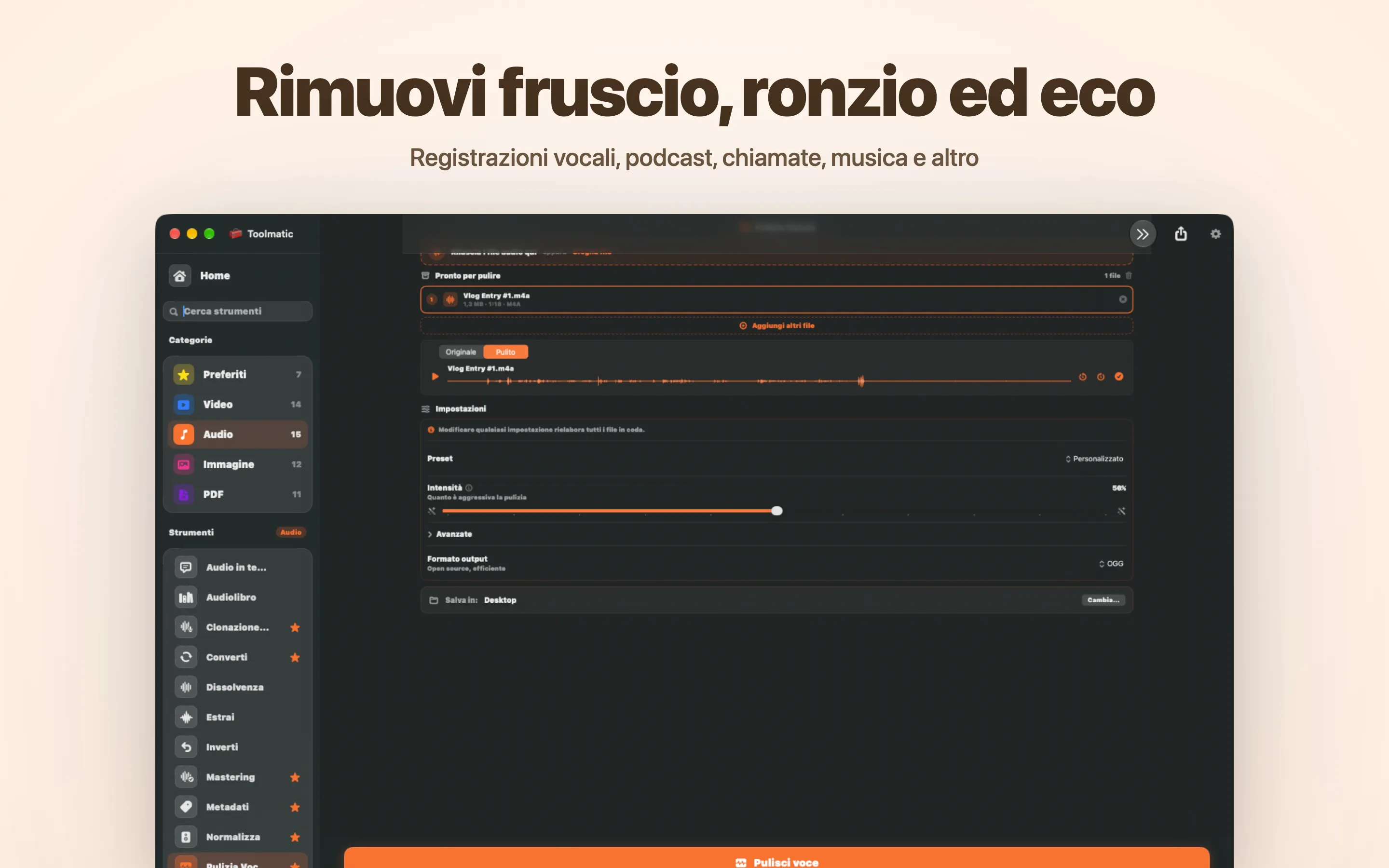 Voice Cleanup, fruscio, ronzio, eco e clic eliminati