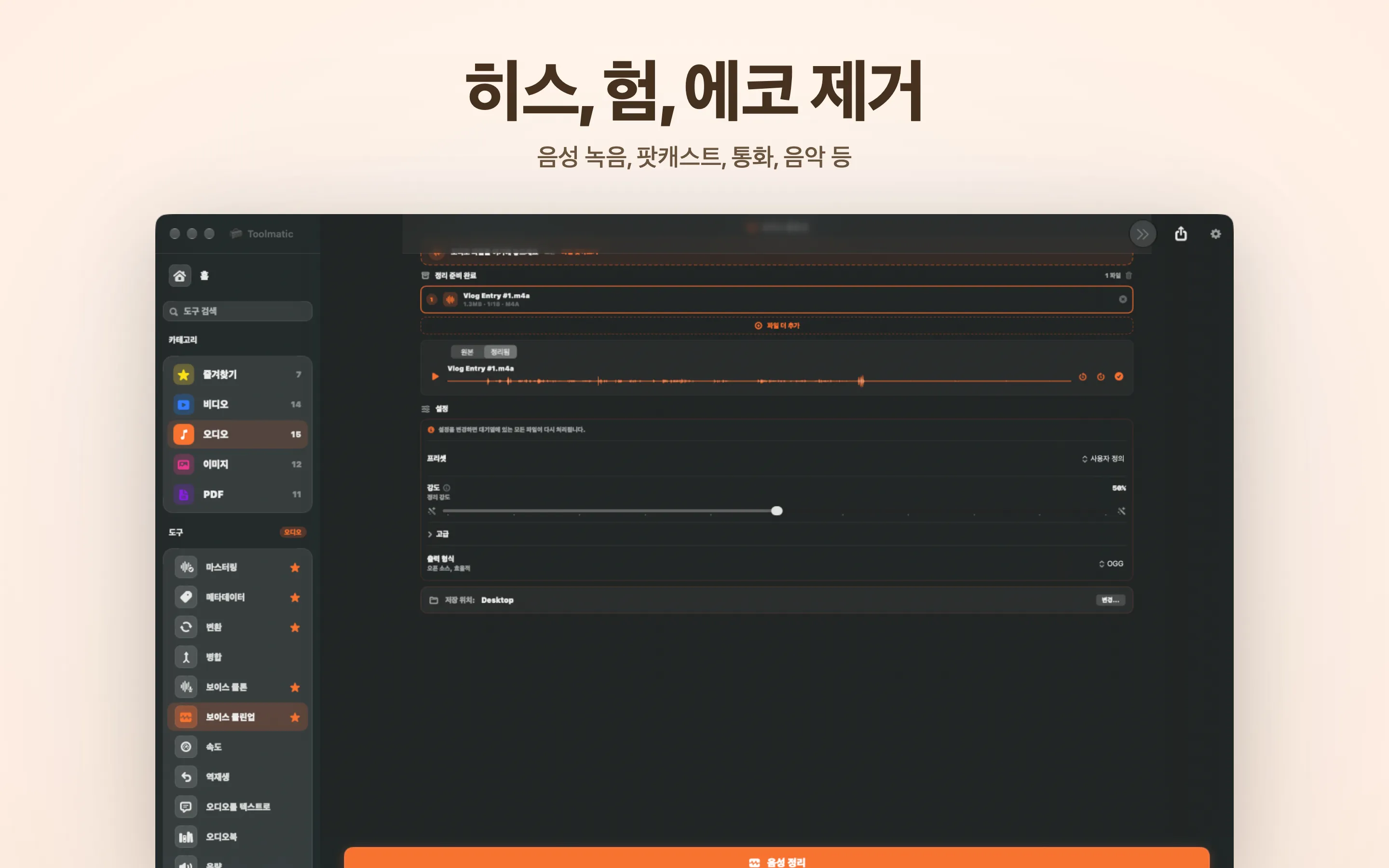 Voice Cleanup, 히스 노이즈, 험, 에코, 클릭음 제거
