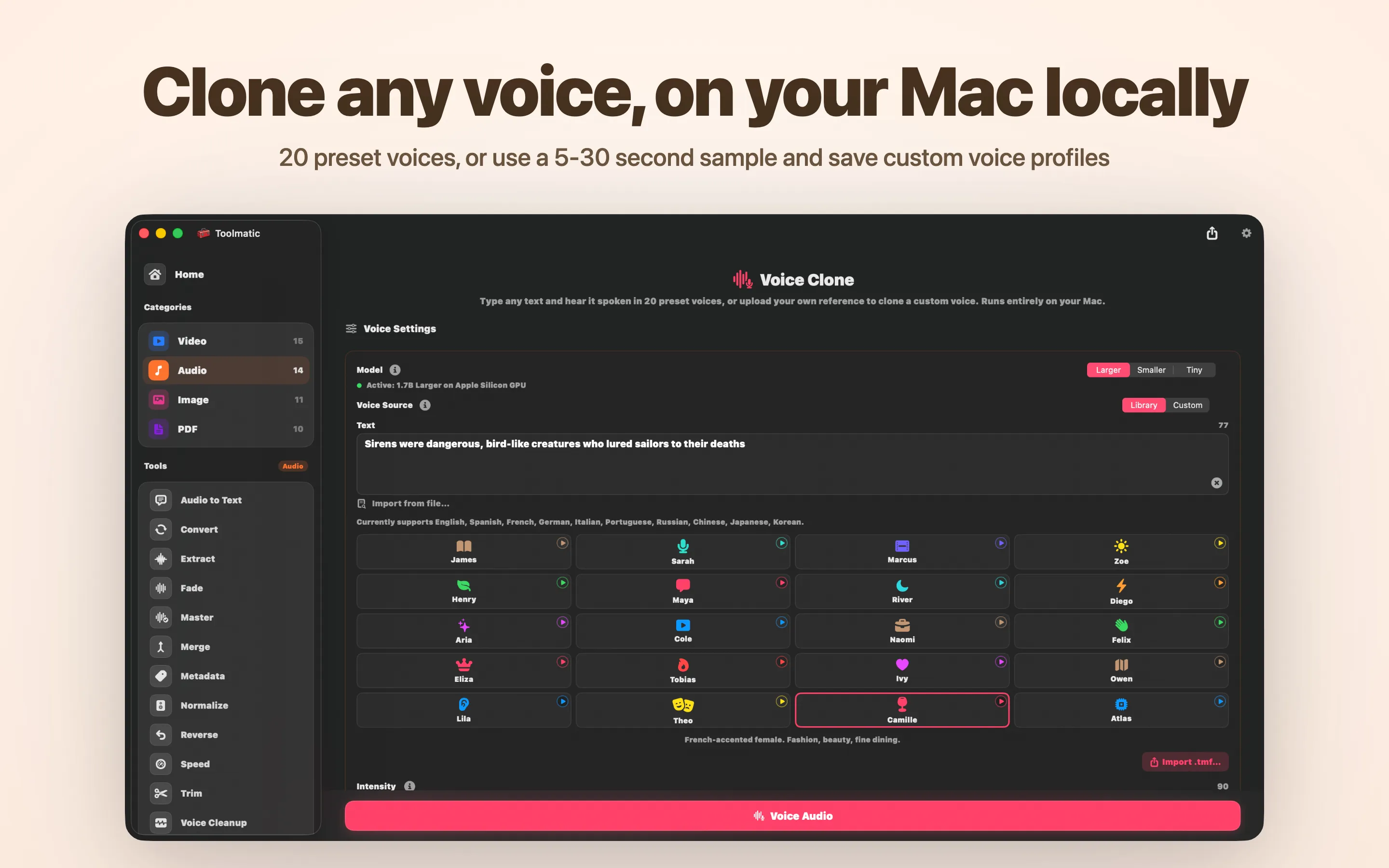 Voice Clone, custom voice from a short sample