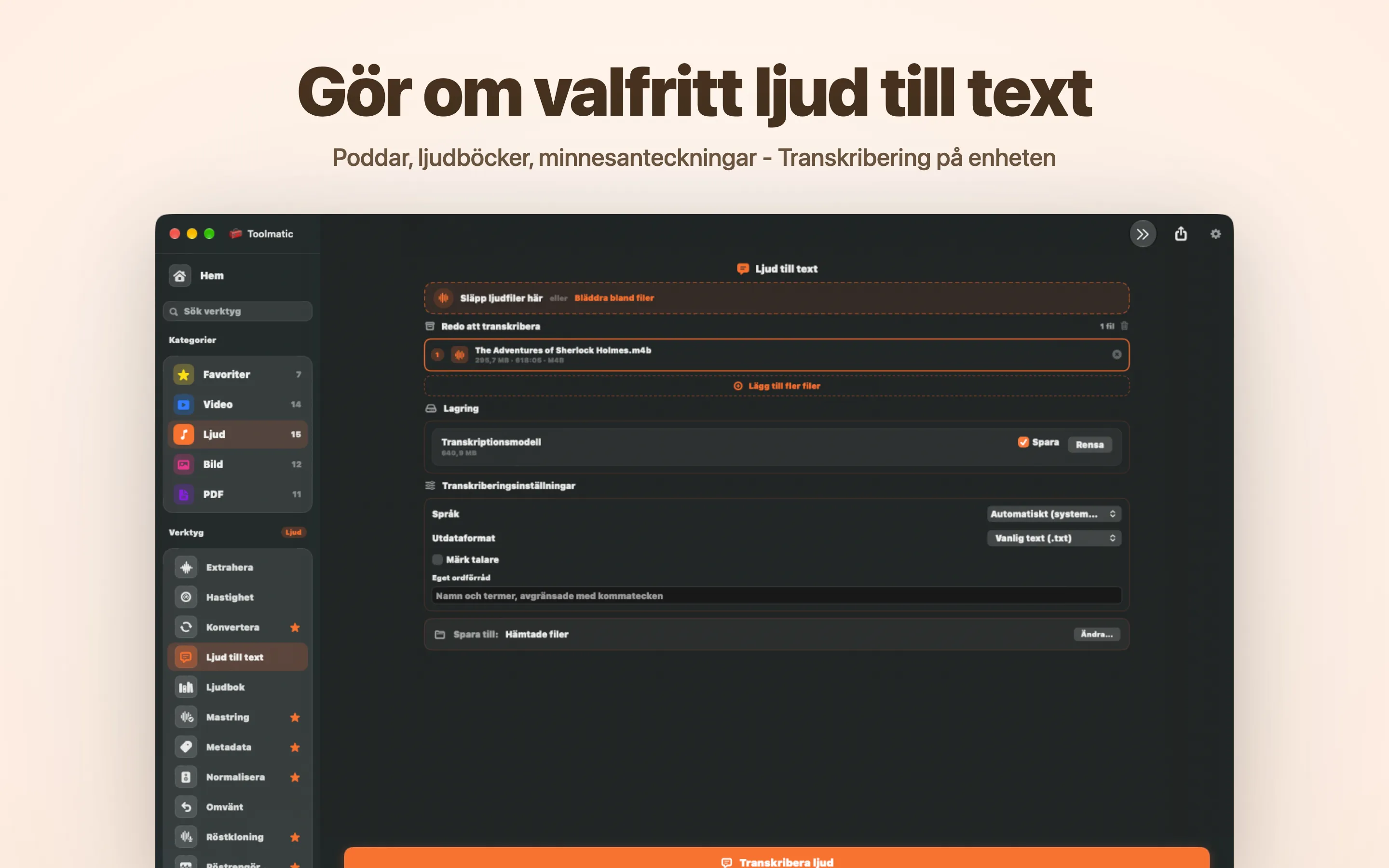 Audio to Text