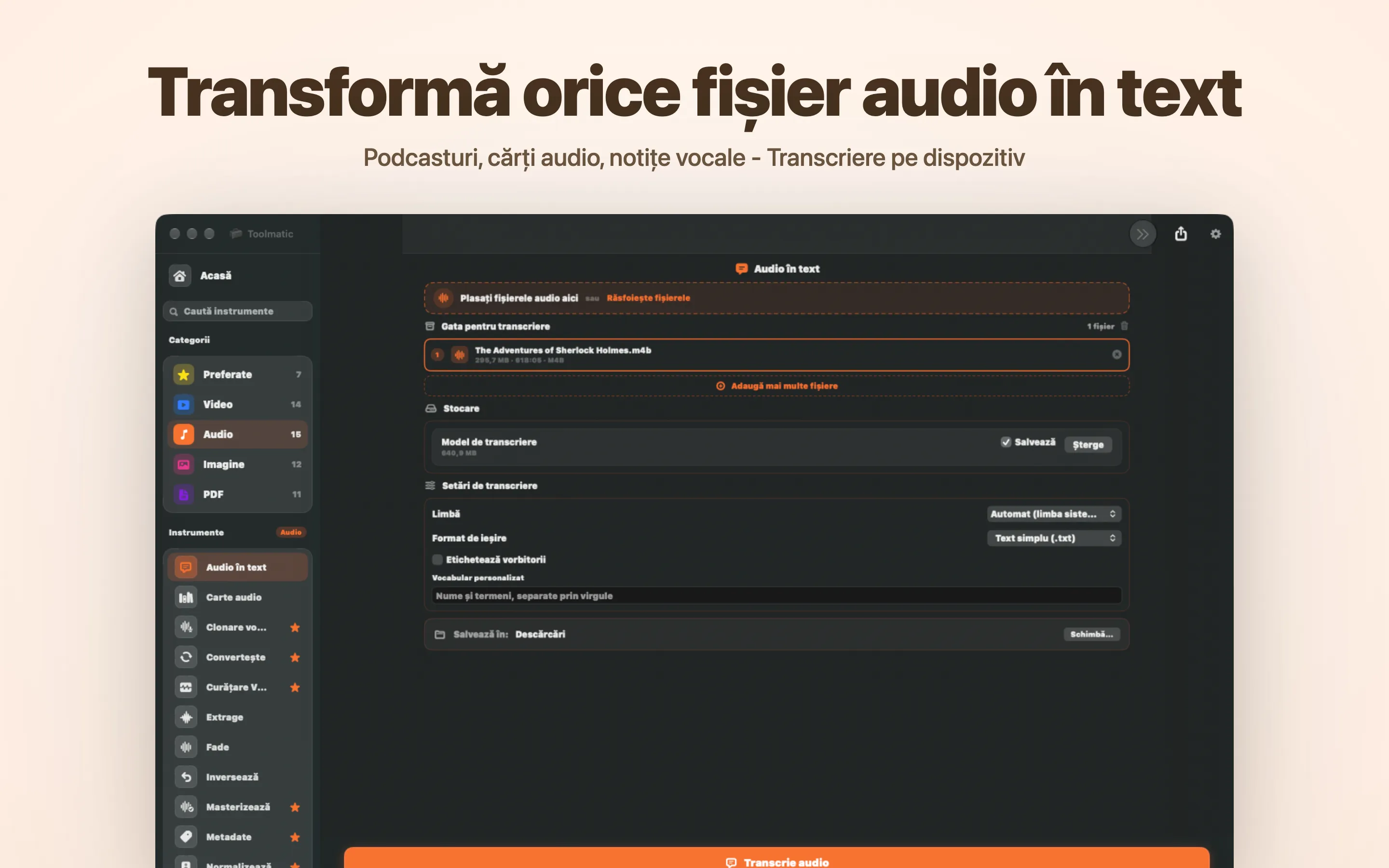 Audio în text