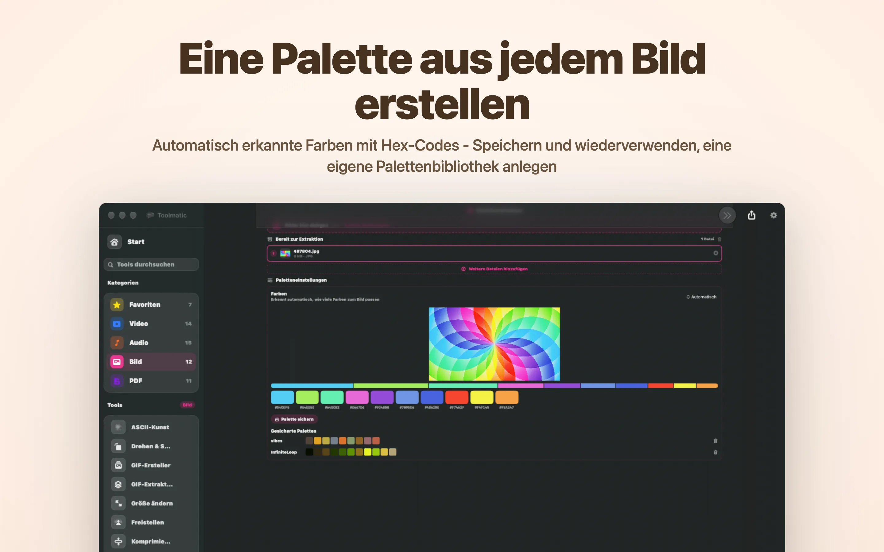 Palettenextraktor