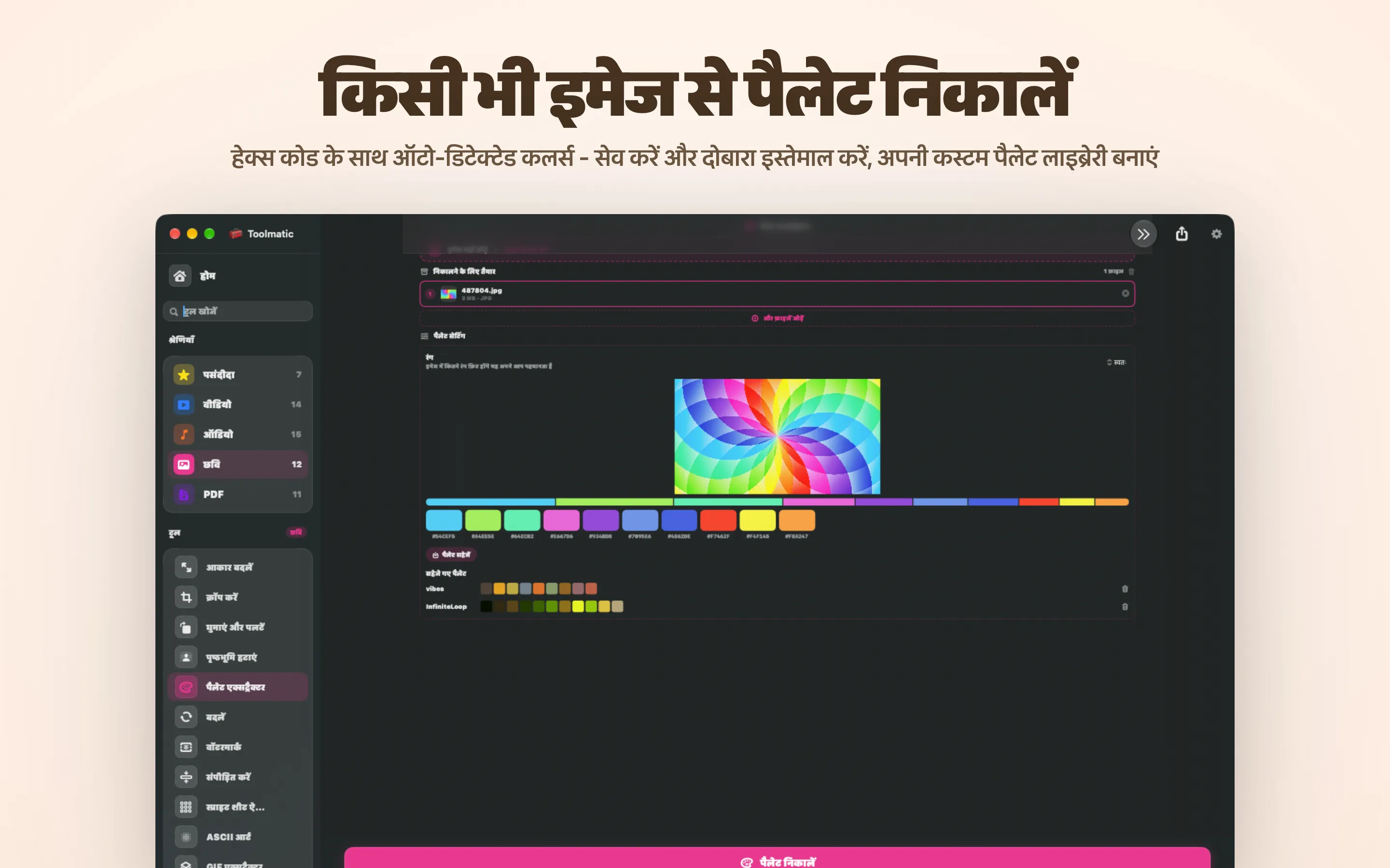 पैलेट एक्सट्रैक्टर