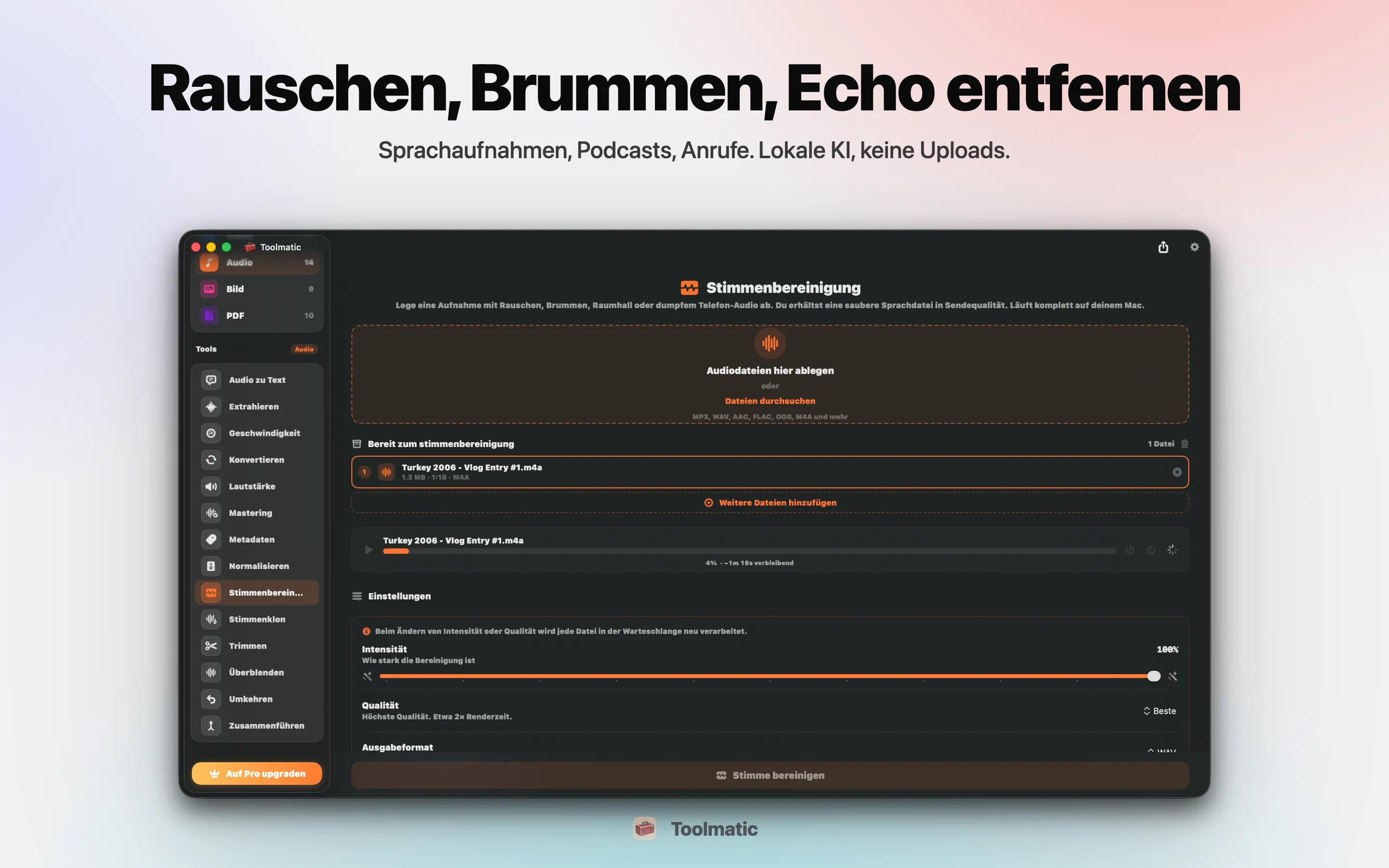 Voice Cleanup, Rauschen, Brummen, Hall und Clipping weg