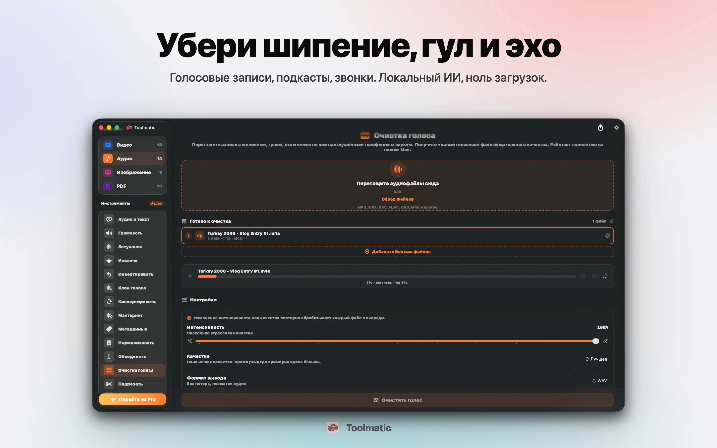 Voice Cleanup, шипение, гул, эхо и клиппинг устранены