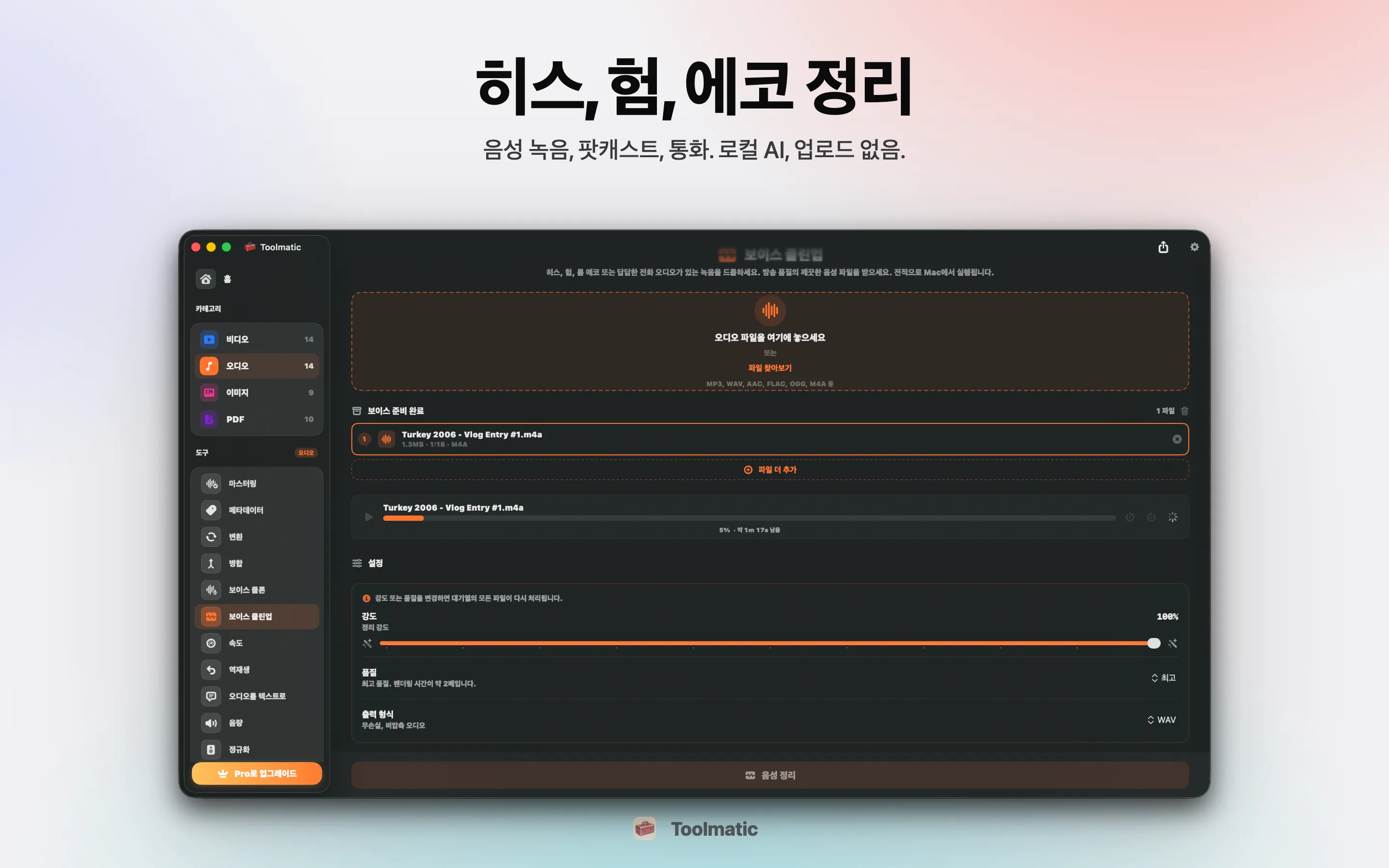 Voice Cleanup, 히스, 험, 에코, 클리핑을 한 번에 제거