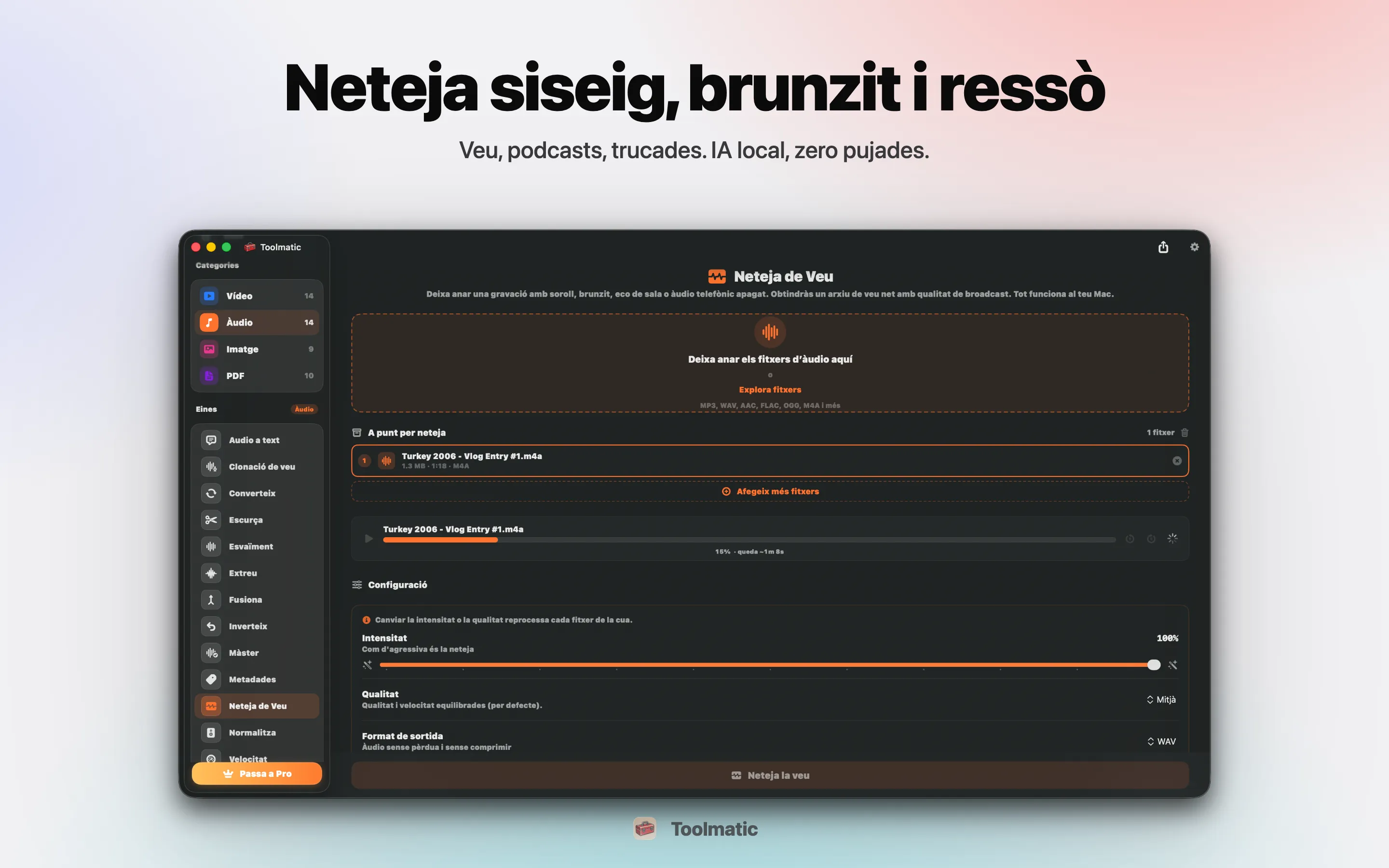 Voice Cleanup, sense brunzit, soroll, eco ni clipping