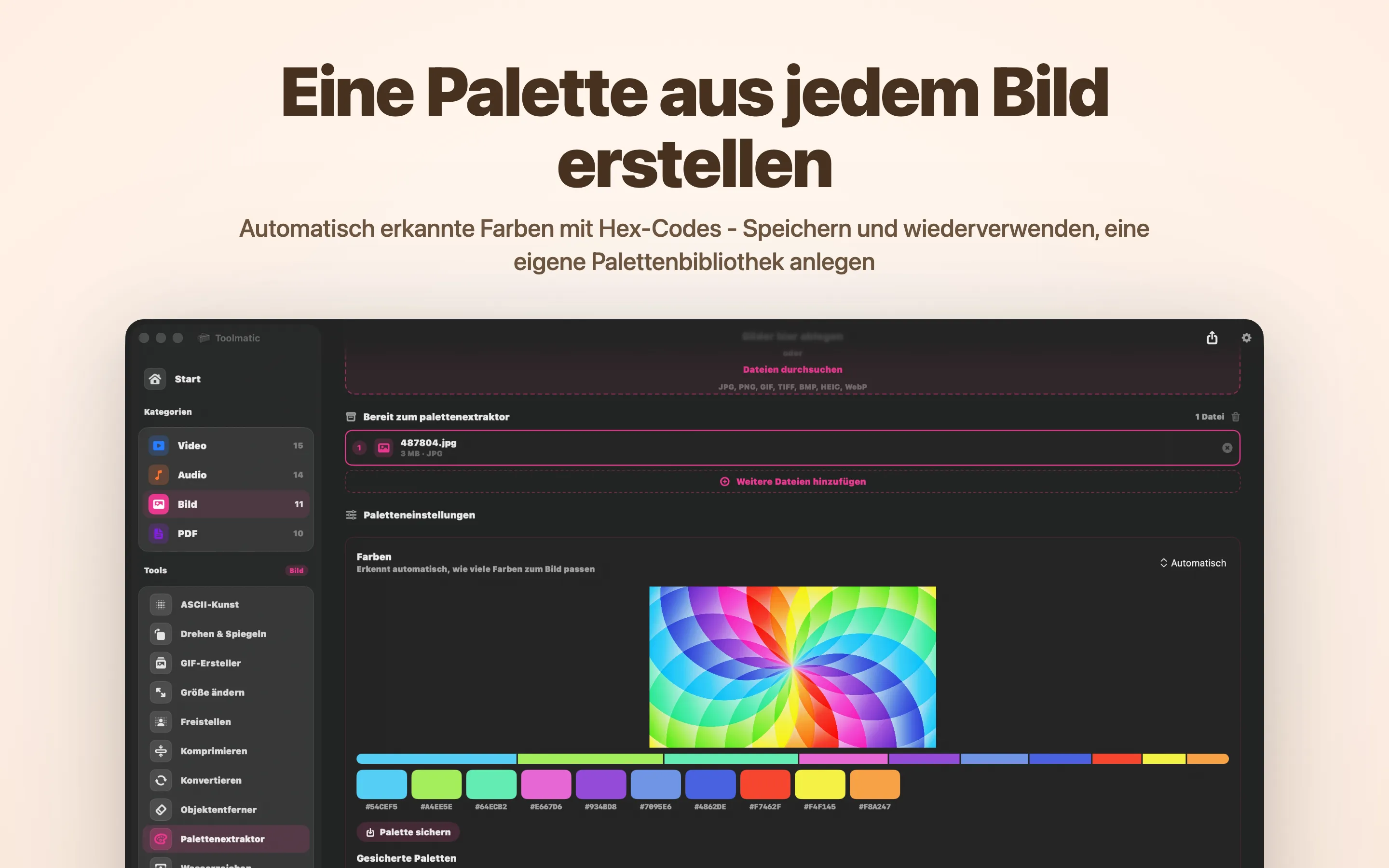Palettenextraktor