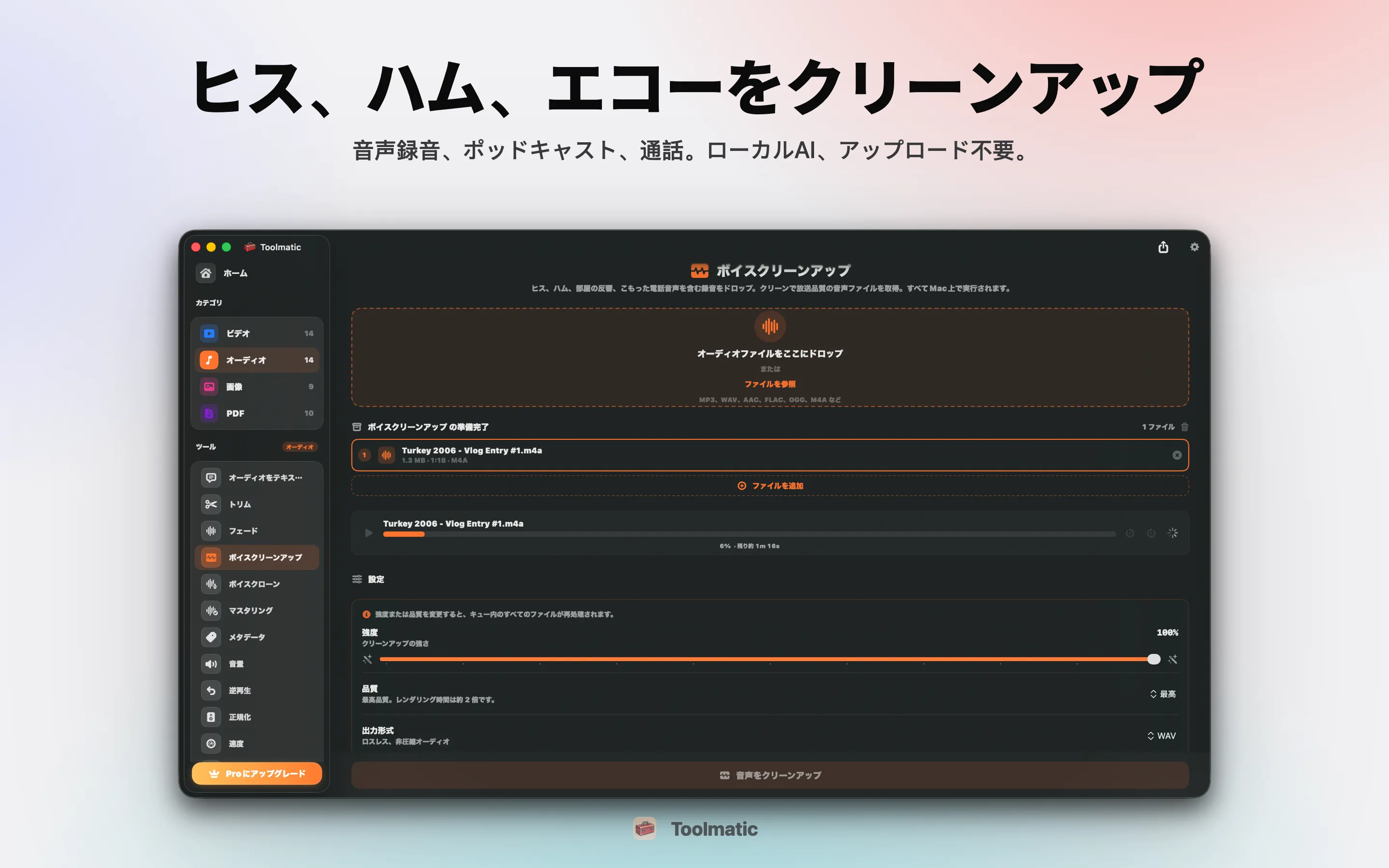 Voice Cleanup、ヒス、ハム、エコー、クリッピングをまとめて除去