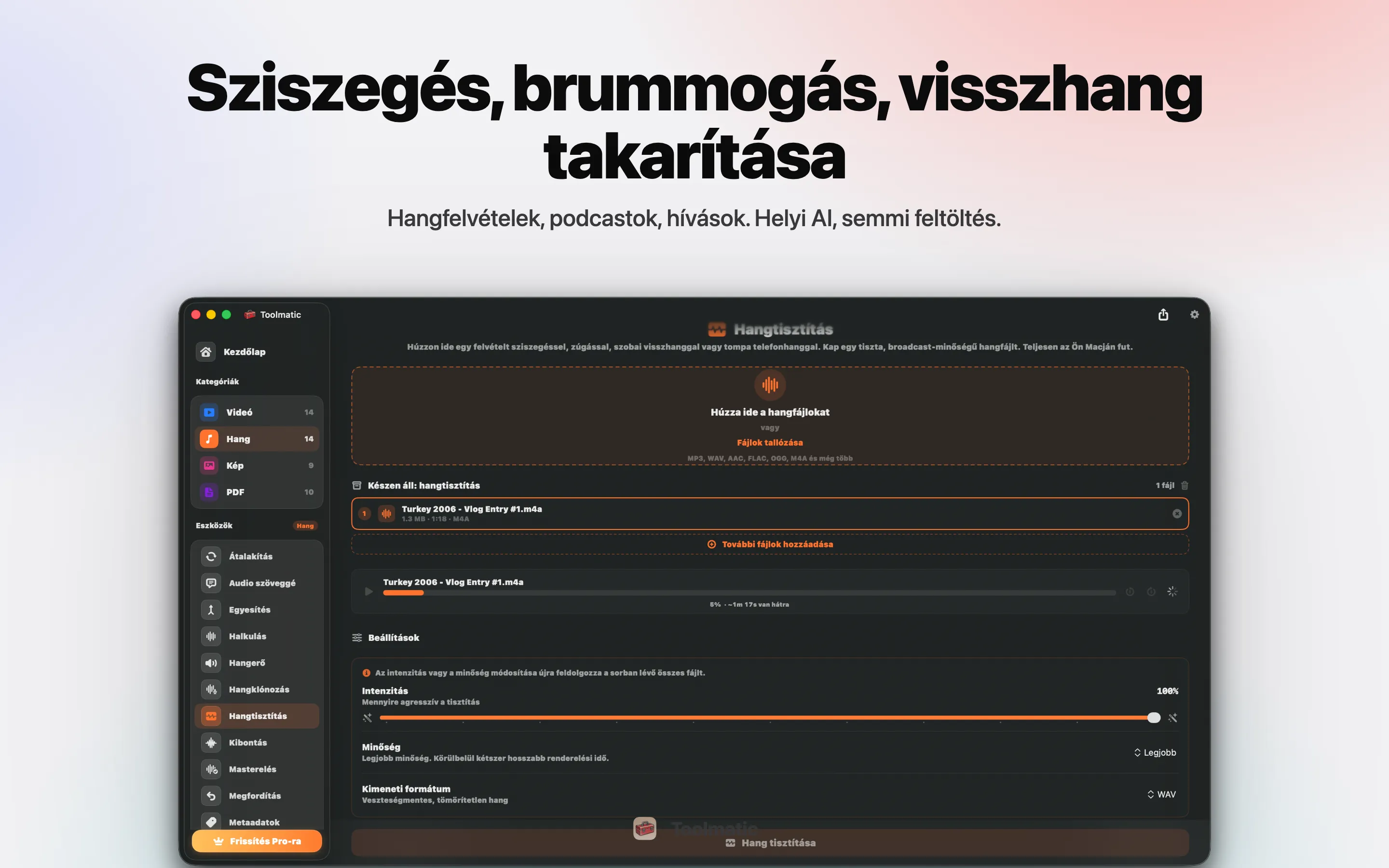 Voice Cleanup, sziszegés, búgás, visszhang és clipping eltűnt