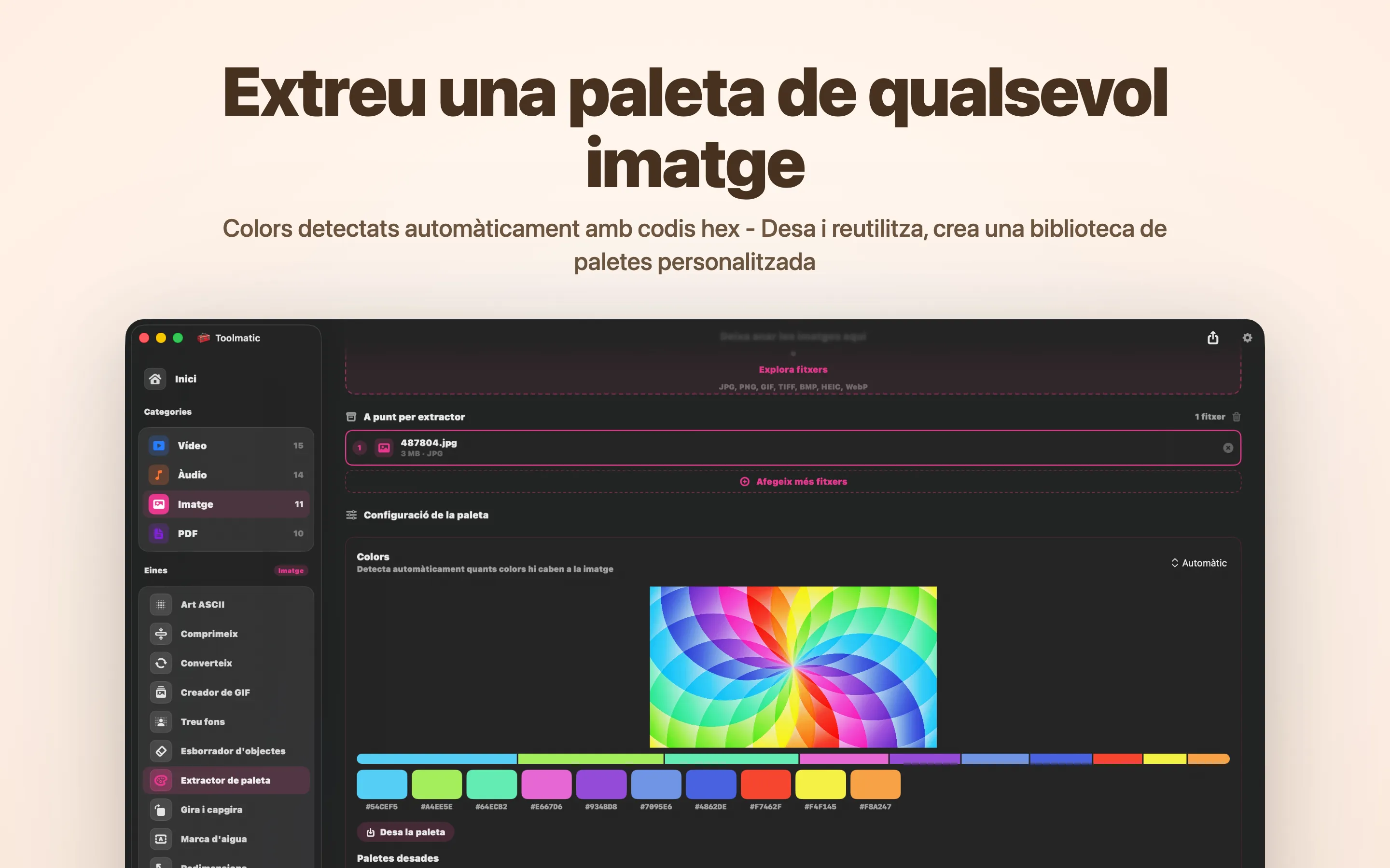 Extracció de paleta